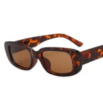 Leopard Frame Tea Slices