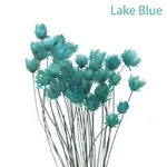 Lack Blue