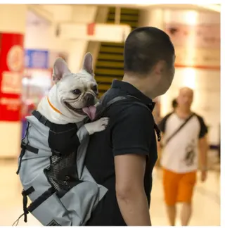 Dog Pet Chest Backpack Is Going Out - Grey