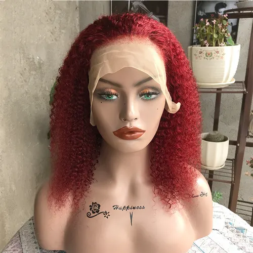 Frontal Lace Wig Human Hair Kinky Curly Hair 10Inch - Shop at LoveMi