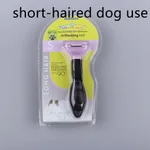 Shorthaired Dog Use Purple A