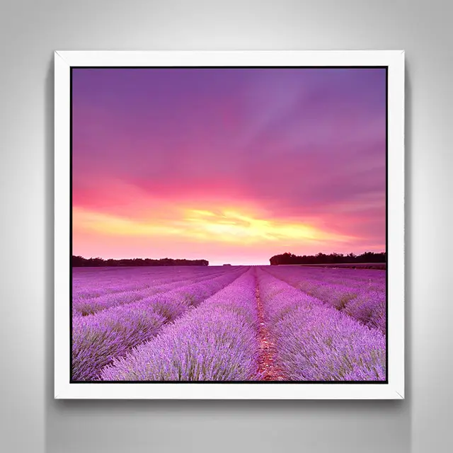 Diamond Painting Full Diamond Diamond Embroidery Many - Shop at LoveMi