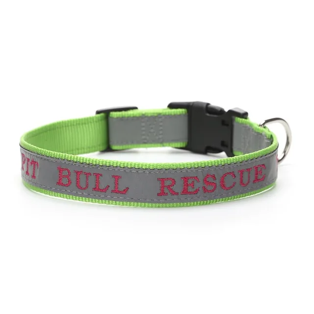 Personalized Phone Name Embroidered Reflective Dog Collar Green - Shop at LoveMi