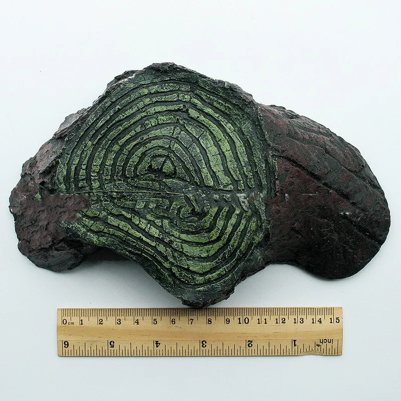 Reptile Supplies Balcony Climbing Rockery Balcony Turtle Terrace - Shop at LoveMi