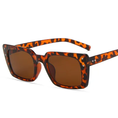 Trendy Sunglasses Mi Nail Small Frame Sunglasses Sunglasses Leopard - Shop at LoveMi