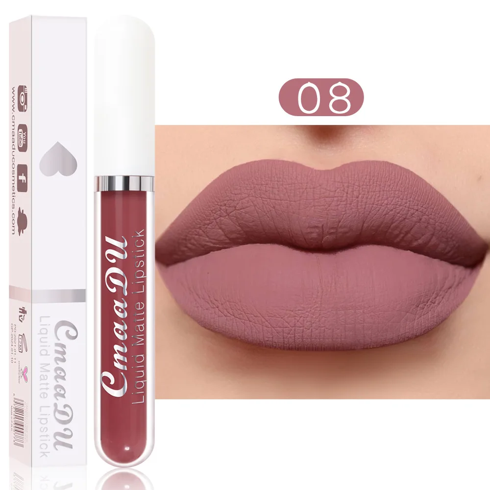 Matte Non-stick Cup Waterproof Long-lasting Lip Gloss - H