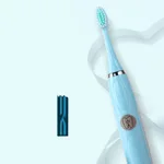 Sky Blue Battery Model