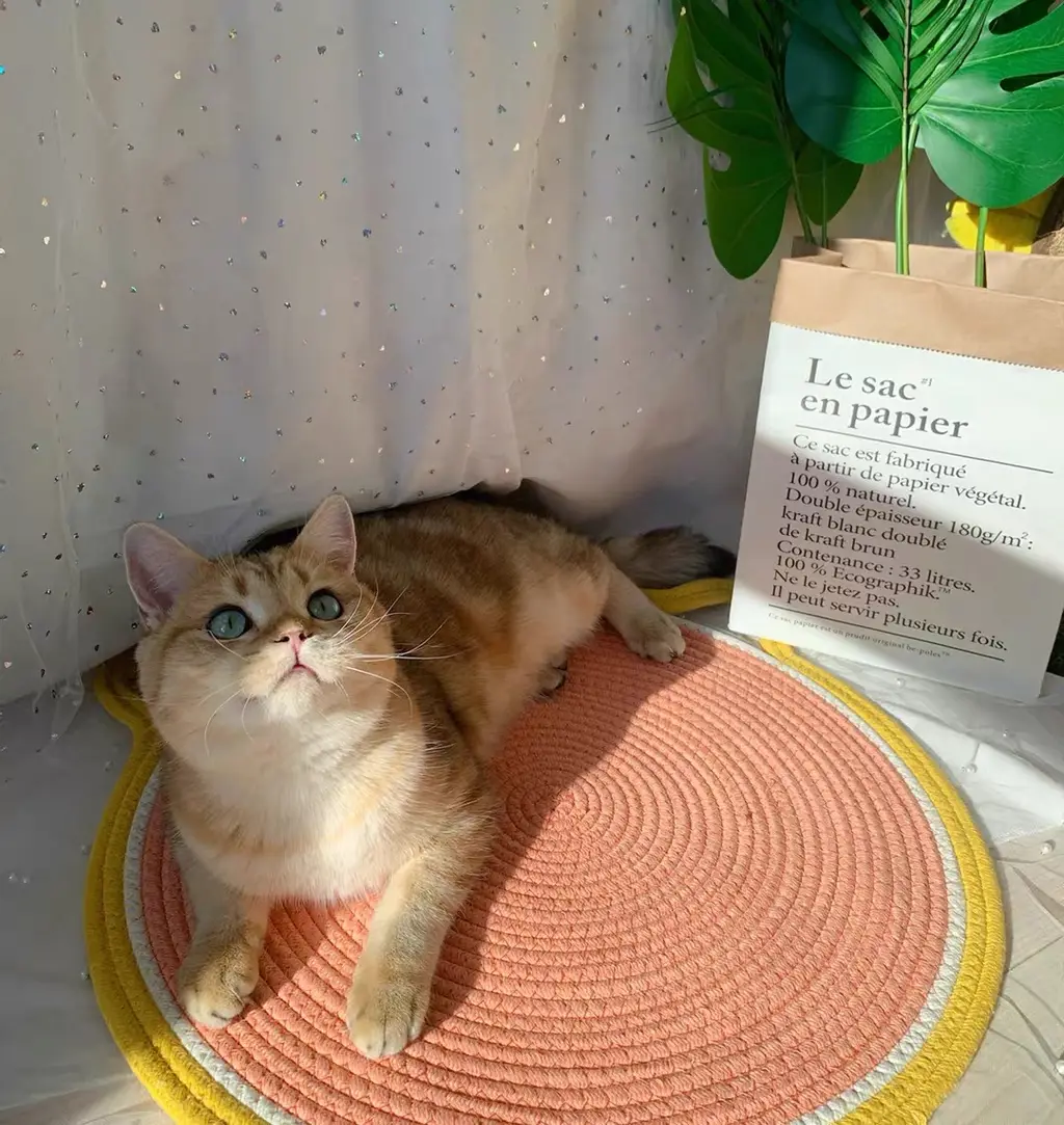 Cat Climbing Frame Sisal Cat Scratching Board Cattery Decoration Cat Cat Paw Toy Cat Jumping Platform - Pink