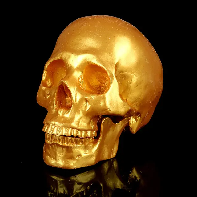 Resin Skull Medical School Popular Science Golden - Shop at LoveMi