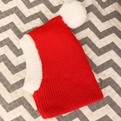 Fashion Simple Pet Autumn And Winter Woolen Hat Red - Shop at LoveMi