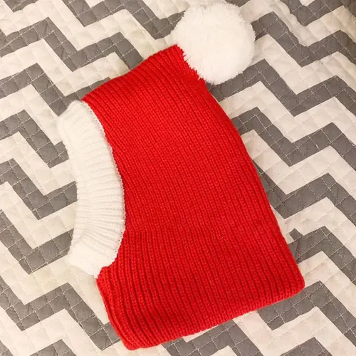 Fashion Simple Pet Autumn And Winter Woolen Hat Red - Shop at LoveMi