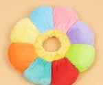Rainbow Sunflower Collar