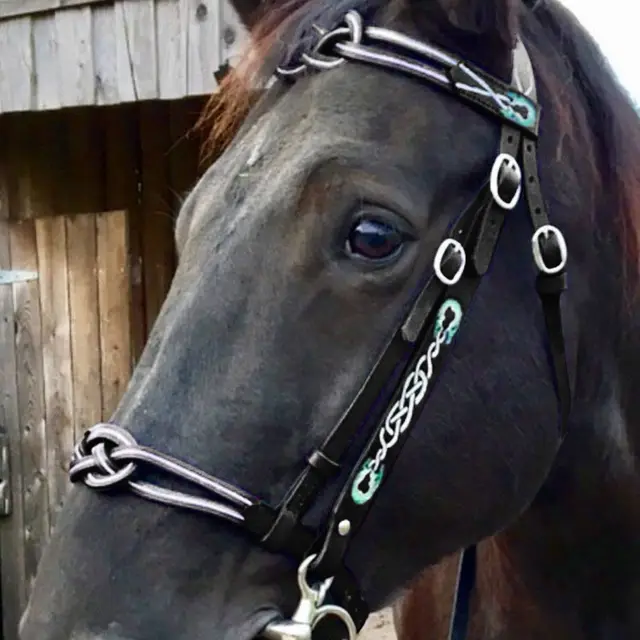European And American Outdoor Supplies Equestrian Supplies Horse REINS Black - Shop at LoveMi