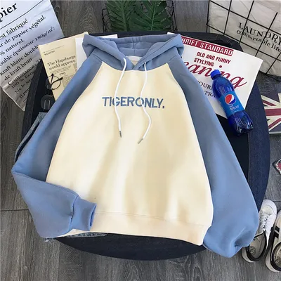 Sweater Female Korean Version Ins Student Plus Velvet Thick Loose Wild Pullover Hoodie Jacket Blue - Shop at LoveMi