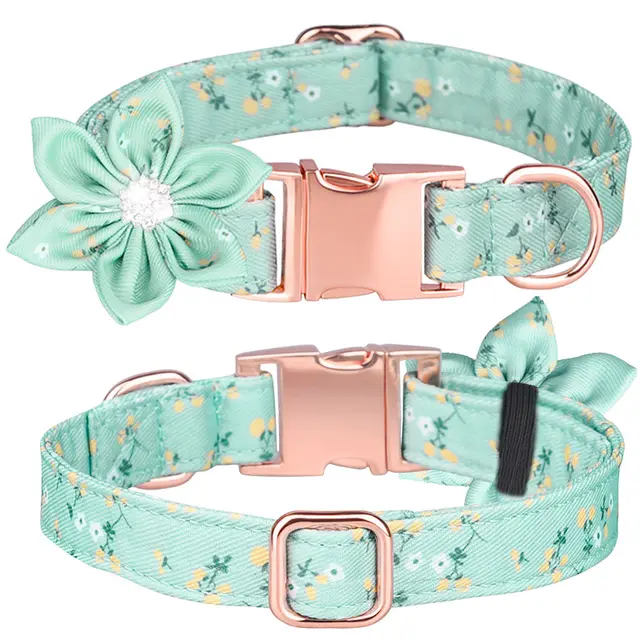 Custom Pet Collar And Leash Set Blue B - Shop at LoveMi