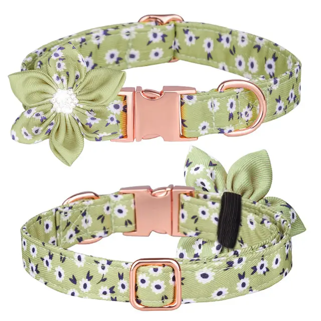 Custom Pet Collar And Leash Set Cyan - Shop at LoveMi