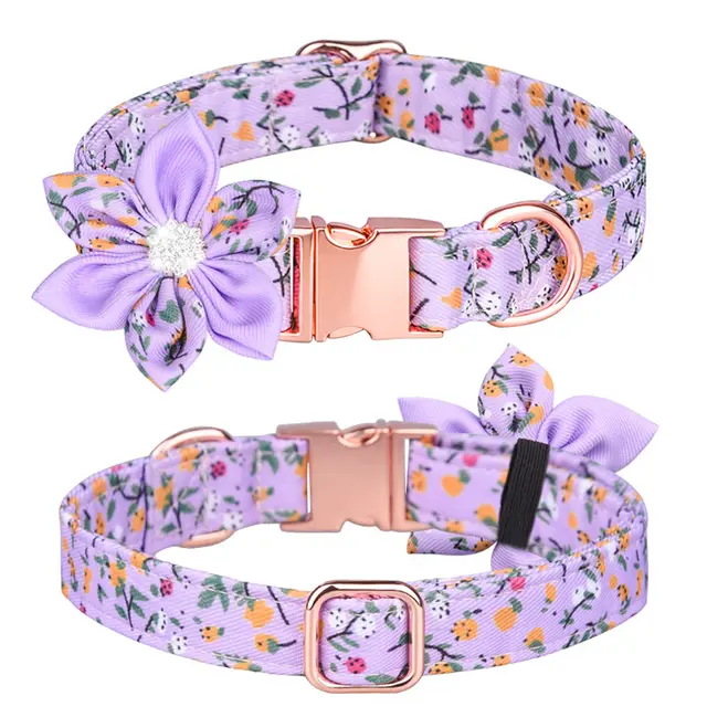 Custom Pet Collar And Leash Set Purple B - Shop at LoveMi