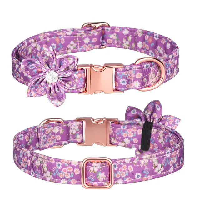 Custom Pet Collar And Leash Set Purple - Shop at LoveMi