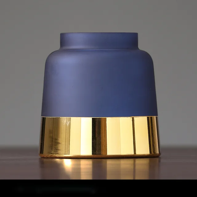 Nordic Light Luxury Frosted Gold Edge Glass Bottle Vase Decoration - Shop at LoveMi