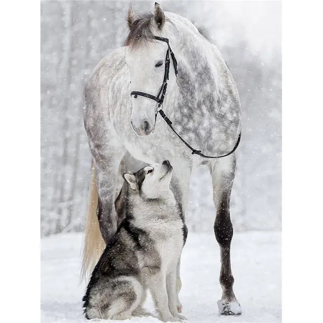 DIY Diamond Painting Horse Diamonds Embroidery Dogs Diamond Mosaic Sale No Fram - Shop at LoveMi