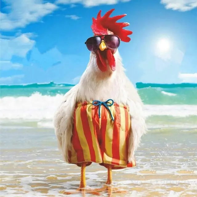 Rooster Diamond Painting, DIY Embroidery, Cross Stitch, Home Decoration Square - Shop at LoveMi