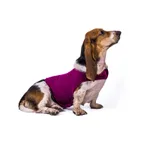 Anxiety Jacket Vest Summer Medical Treatment To Calm Down Cat Clothes Dog Comfort Clothes - Rose Red
