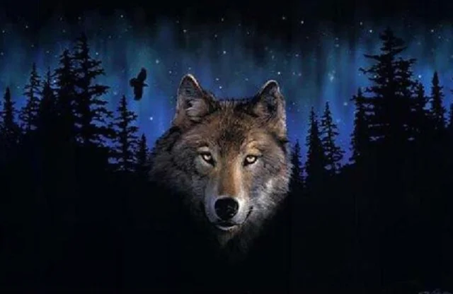 Digital Oil Painting, Coloring Painting, Frameless Oil Painting Photo Color - Shop at LoveMi