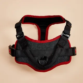 Dog Harnesses