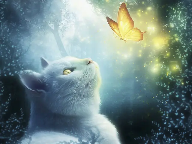 Diamond Embroidery Butterfly Cross Stitch Mosaic Animal Rhinestone Art Painting Cat - Shop at LoveMi