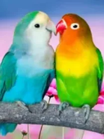 Home Decor Living Room Mural - Shop at LoveMi