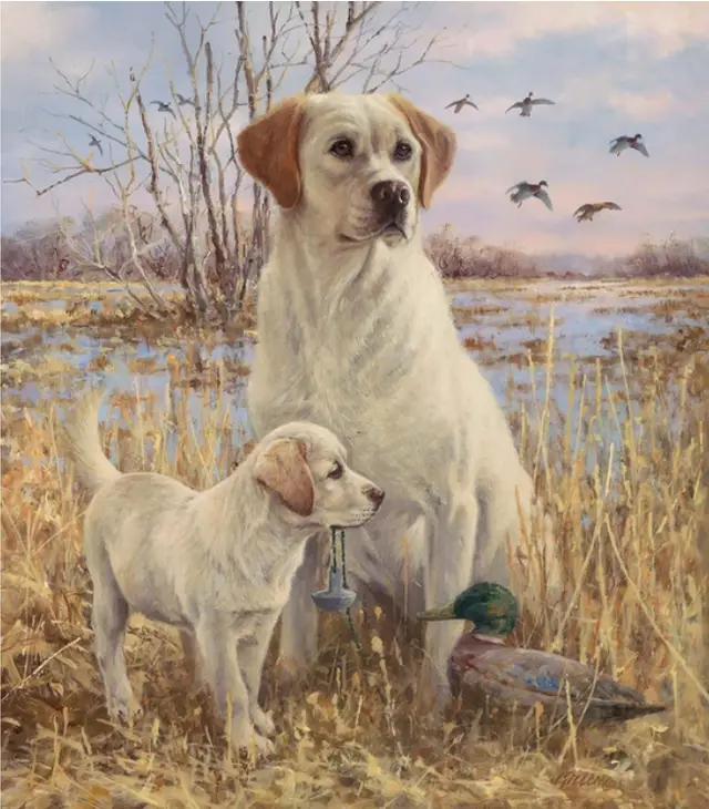 Digital Frame Oil Painting Coloring Painting Photo Color - Shop at LoveMi