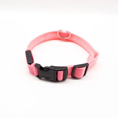 Rechargeable LED Collar Pink - Shop at LoveMi