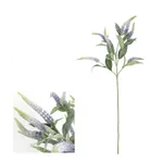 Sage Purple