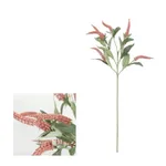 Sage Red