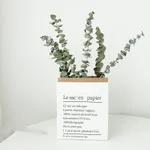 6Eucalyptus Leaves
