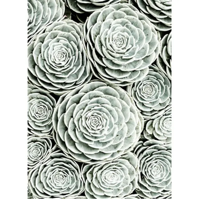 Diamond Painting Flower Border Embroidery Cross Stitch Home Decoration Gift Round Flower - Shop at LoveMi