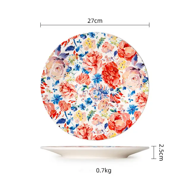 American Salad Bowl Ceramic Tableware Creative Western Food Plate Household Noodle Bowl 10.6Inch Large Plate - Shop at LoveMi