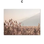 Color Number C