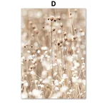 Color Number D