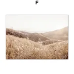 Color Number F