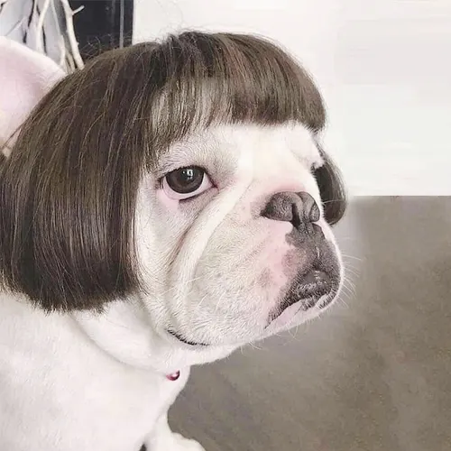 Wig Pretty Pet Head Linen - Shop at LoveMi