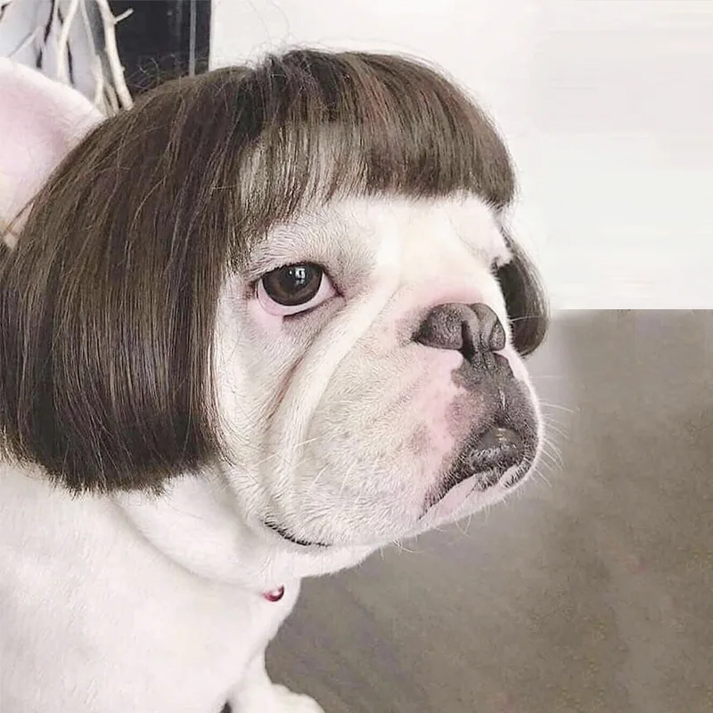 Wig Pretty Pet Head - Linen