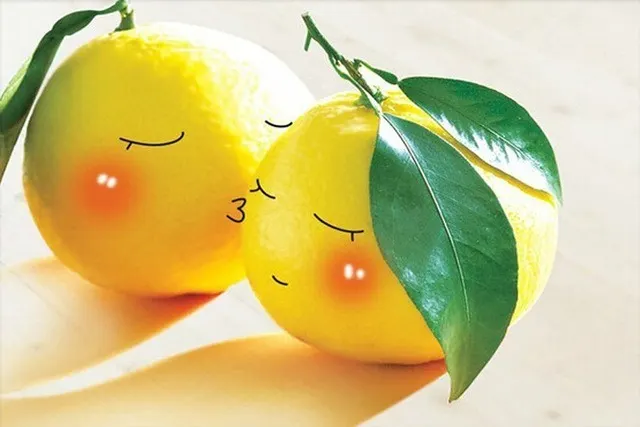 Diamond Painting Fruit Lemon Full Square Diamond Embroidery Decoration Home Q - Shop at LoveMi