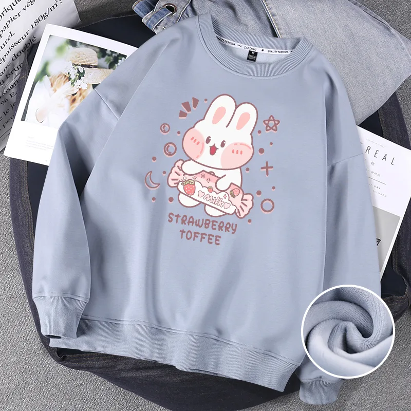 Hoodless Sweater Women Spring And Autumn Round Neck Jacket Salt Girl Blouse - Blue Thin Toffee Rabbit