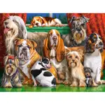 Dog Family