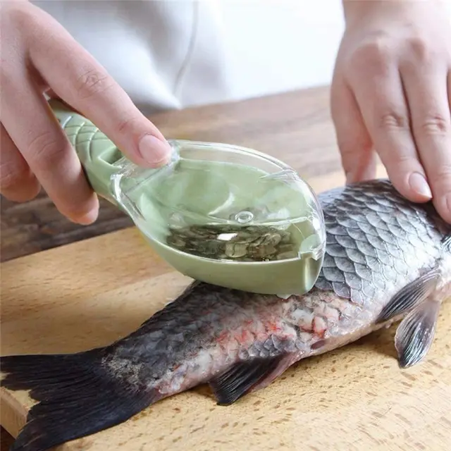 Fish Skin Brush Scraping Fish Scale Brush Grater Quick Disassembly Fish Knife Cleaning Peeling Skin Scraper Scraper Fish Scaler Kitchen Tools Green - Shop at LoveMi