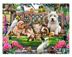 Pet Paradise