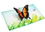 Butterfly Greeting Card