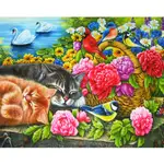 Animal Pictures