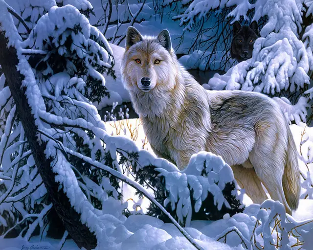 5D Round Diamond Embroidery Animal Snow Wolf Wall Decoration Diamond Painting Blue - Shop at LoveMi